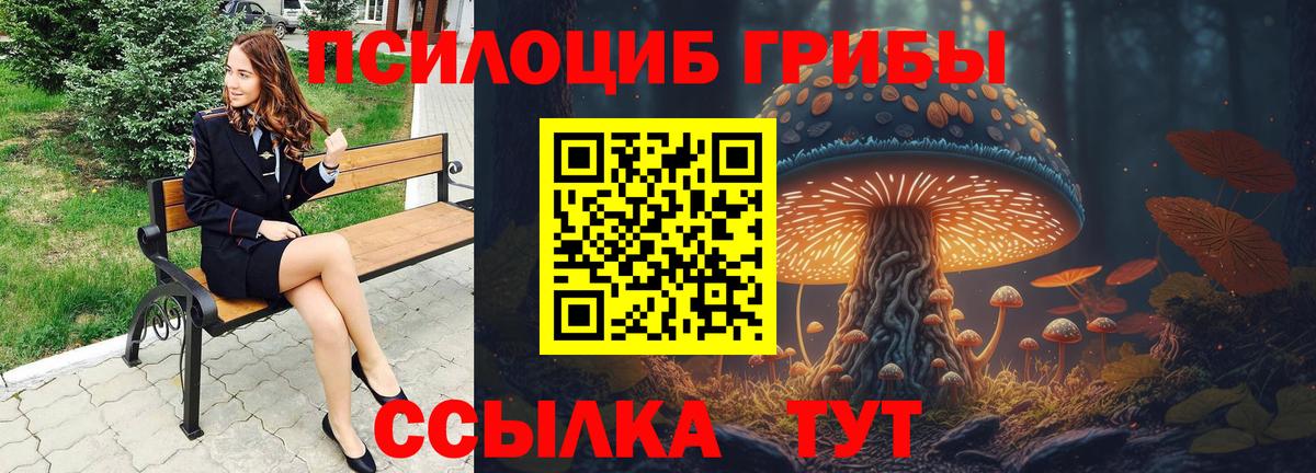 Краснознаменск  Псилоцибиновые грибы прущие грибы  купить закладку  Вход с VPN 